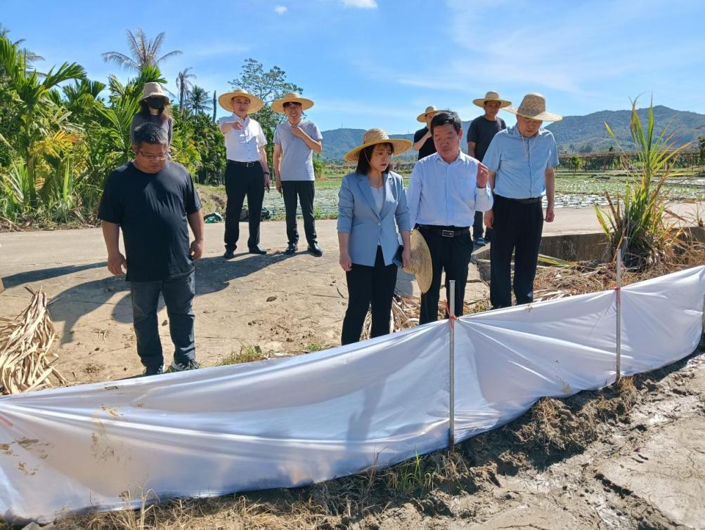 周小慧率隊(duì)到公司南繁基地考察調(diào)研